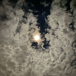 Cover of Heaven’s Gate