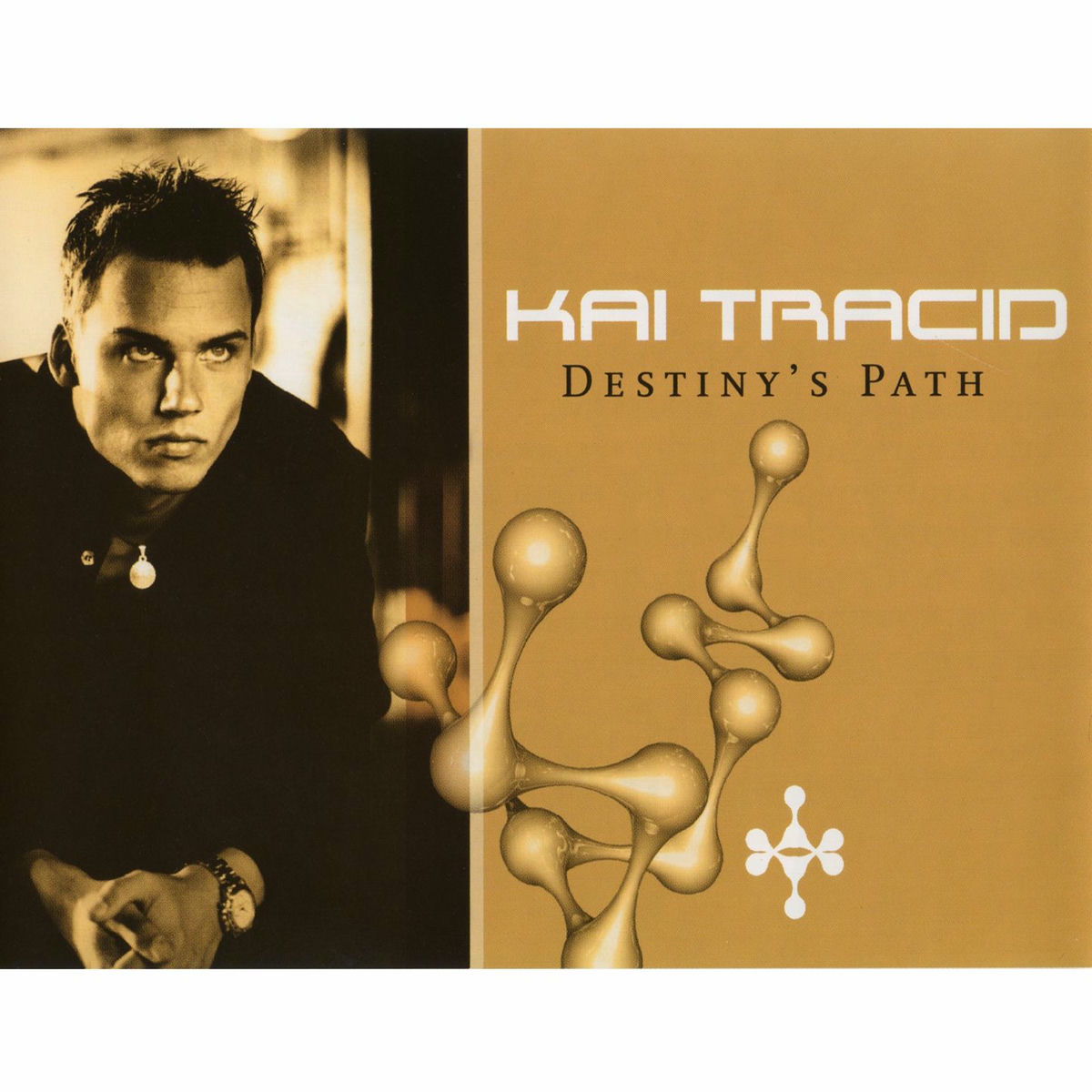 Album cover of Destinys Path