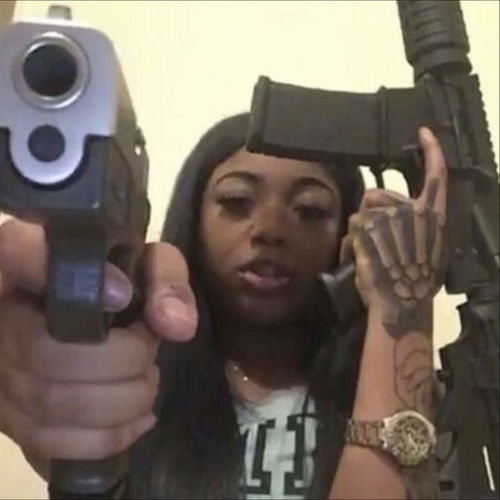 Animosity 4 The Birds