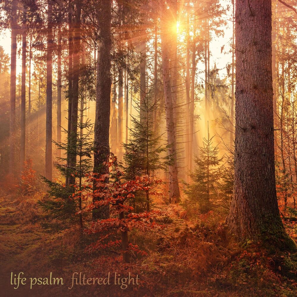Picture of Life Psalm