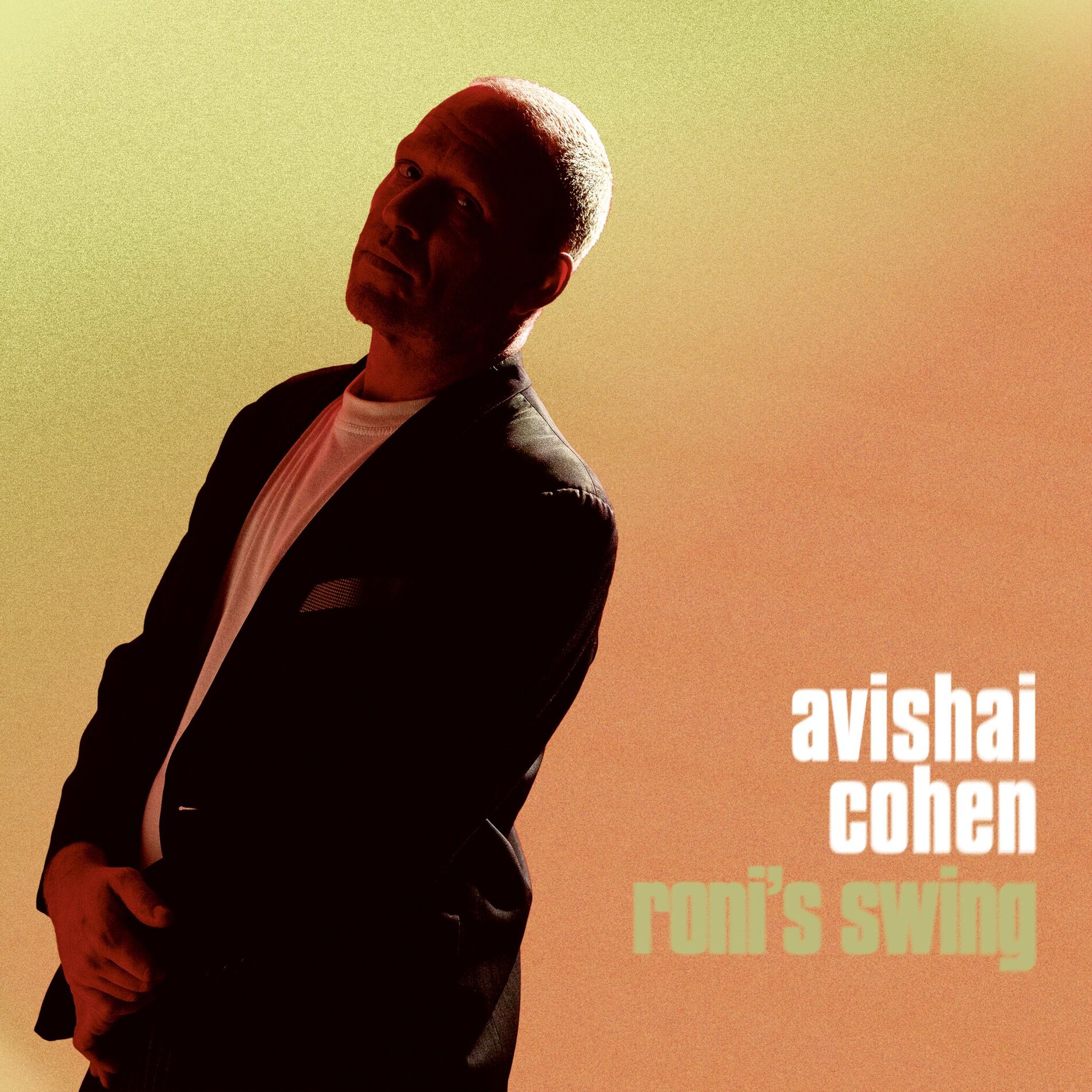 Album cover of Roni's Swing