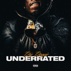 Cover of UNDERRATED