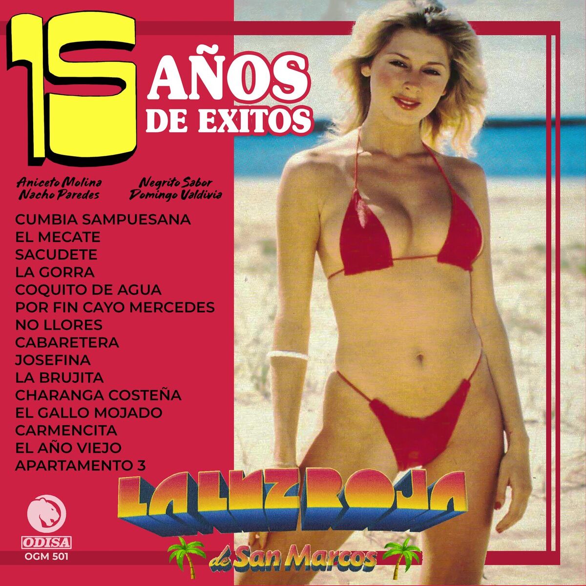 Album cover of 15 Años De Éxitos (Remaster)