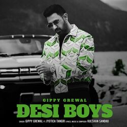 Cover of Desi Boys