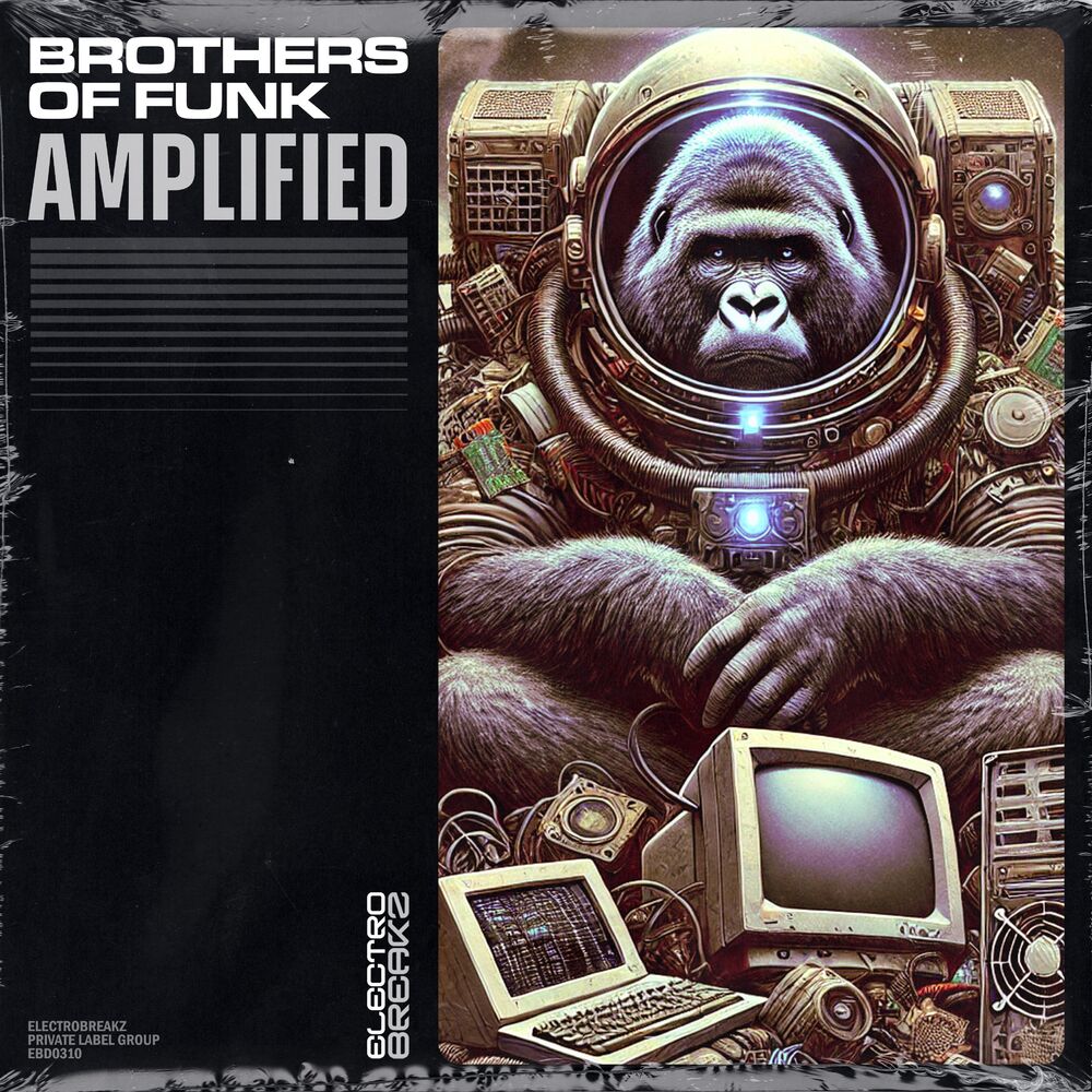 Picture of Amplified