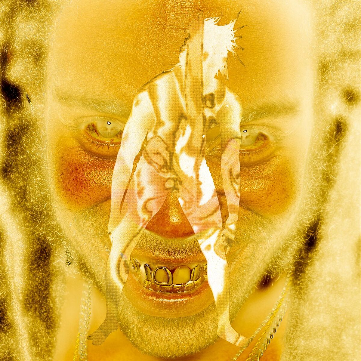 Album cover of SKIN