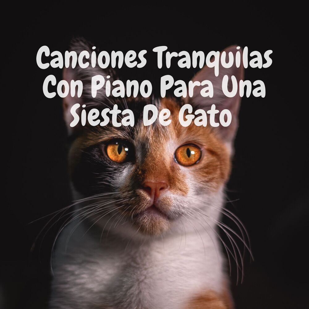 Picture of Canciones Tranquilas Con Piano Para Una Siesta De Gato