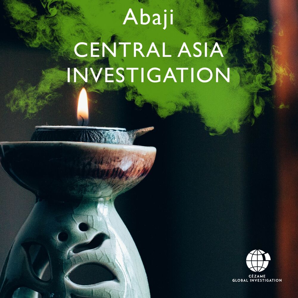 Picture of Central Asia Investigation