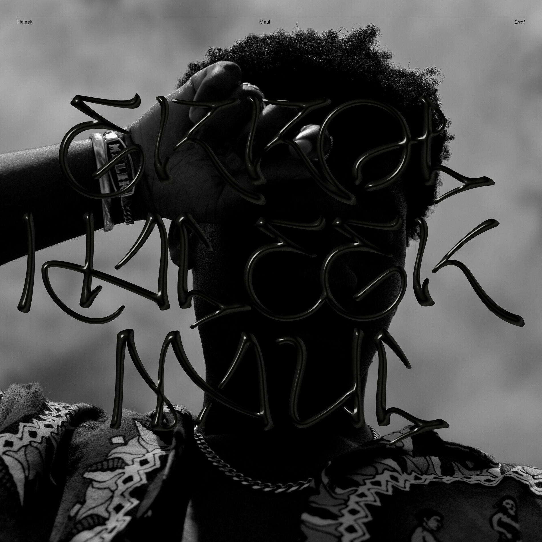 Album cover of Errol
