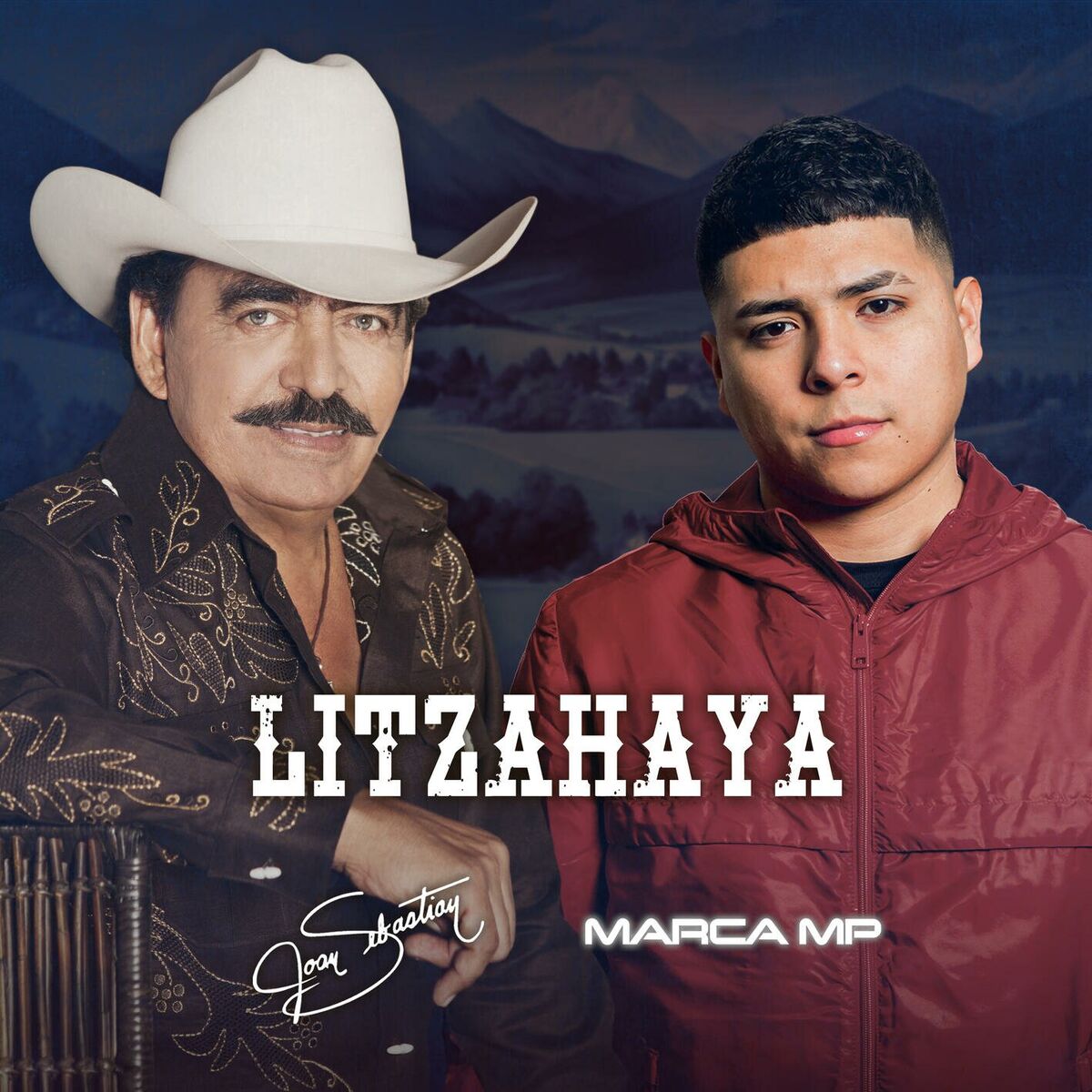 Album cover of Litzahaya