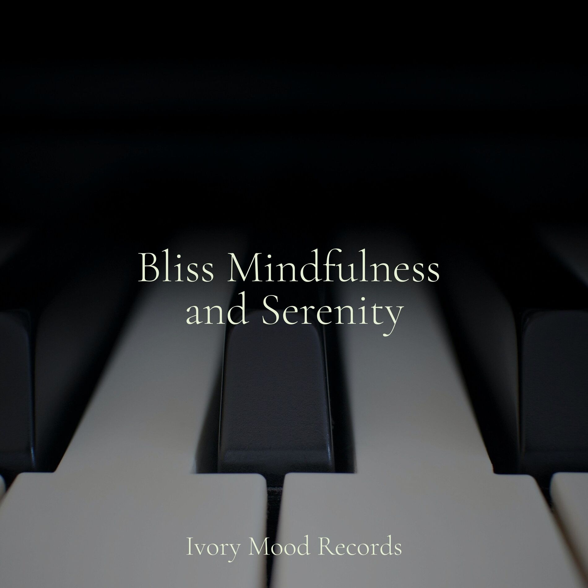 Album cover of Bliss Mindfulness and Serenity
