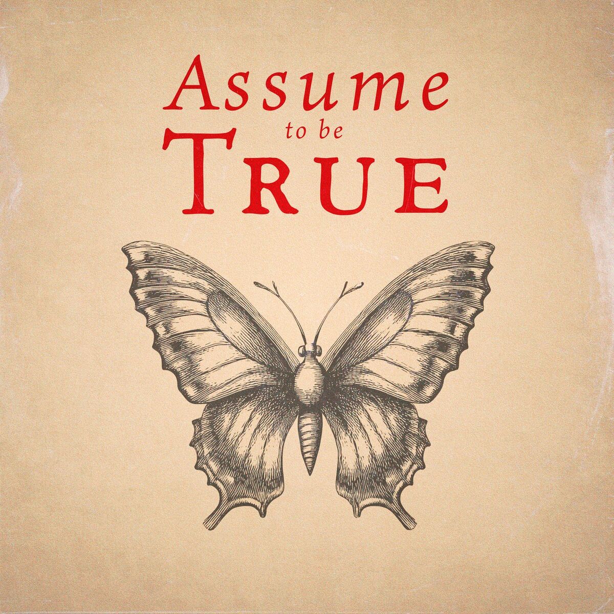 Album cover of ASSUME TO BE TRUE