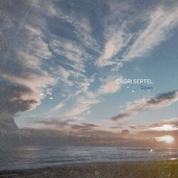 Cover of Dawn