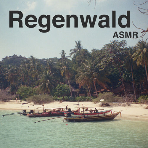 Regenwald ASMR