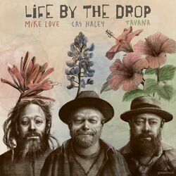 Cover of Life by the Drop