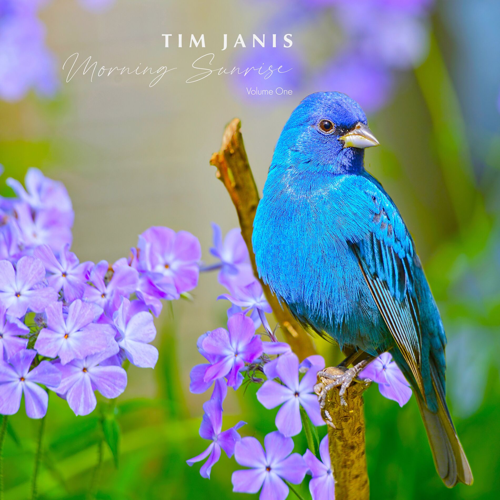 Album cover of Morning Sunrise, Vol. I