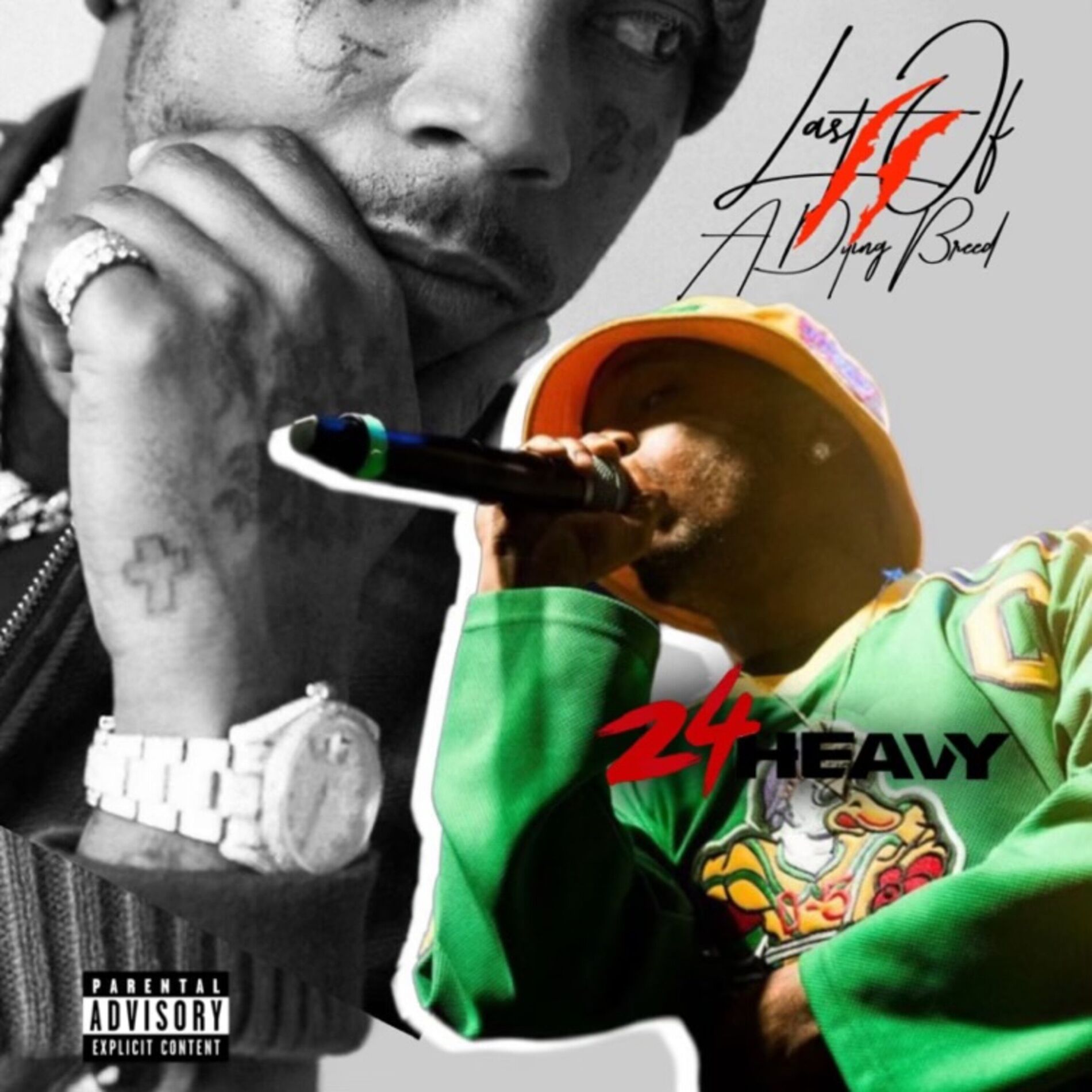 Album cover of Last Of A Dying Breed II