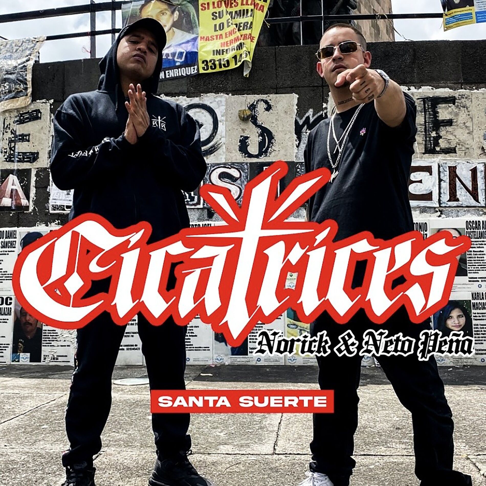 Album cover of Cicatrices