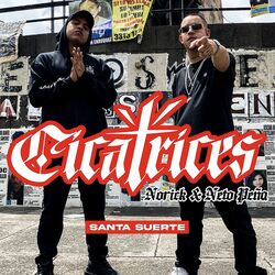 Cover of Cicatrices