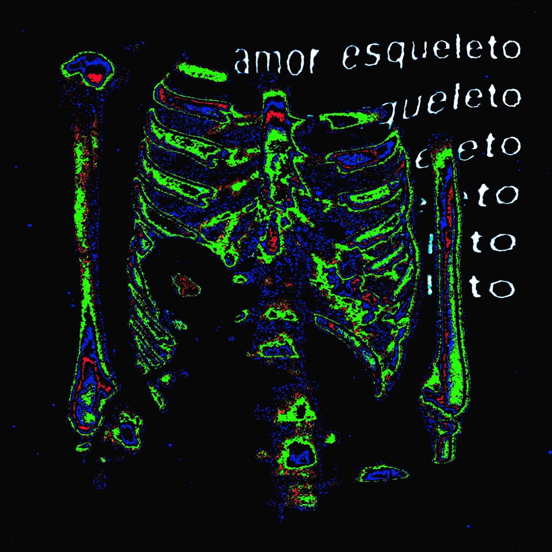 Album cover of Amor Esqueleto