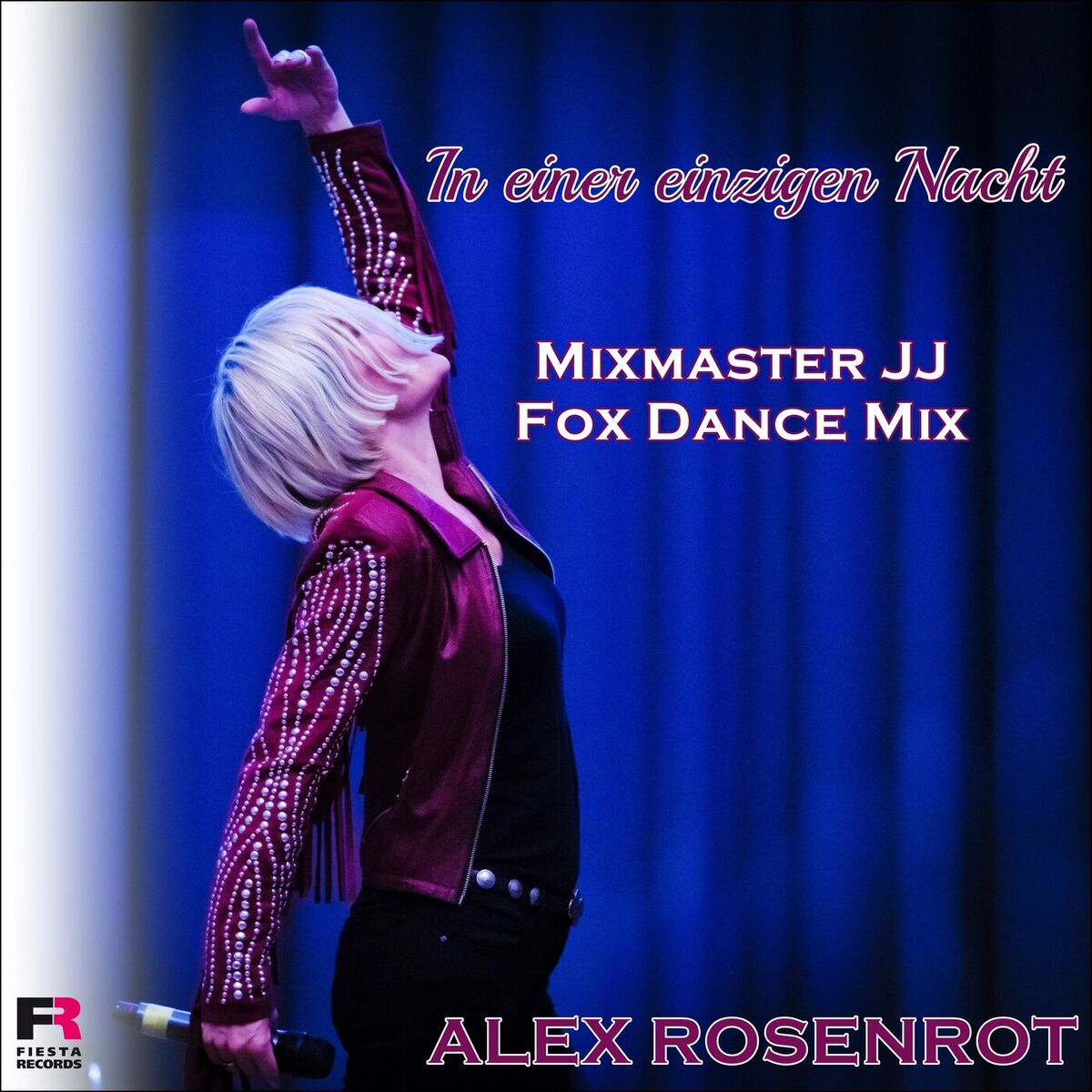 Album cover of In einer einzigen Nacht