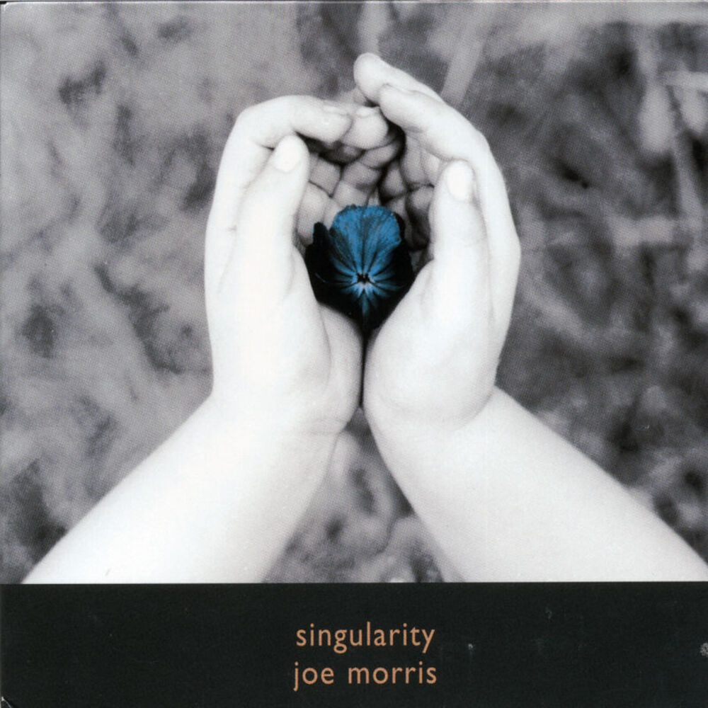 Picture of Singularity