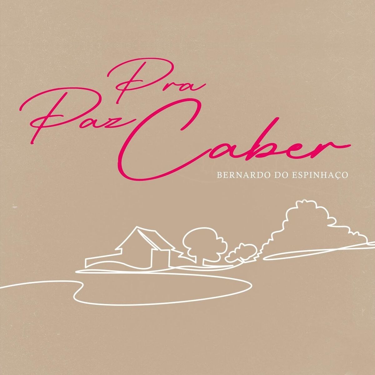 Album cover of Pra Paz Caber