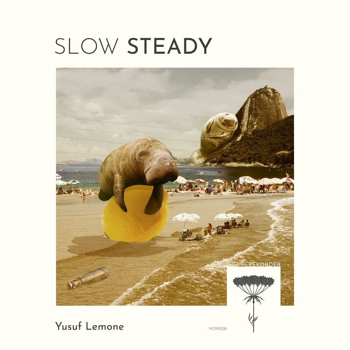 Album cover of Slow Steady