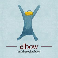 Cover of build a rocket boys!