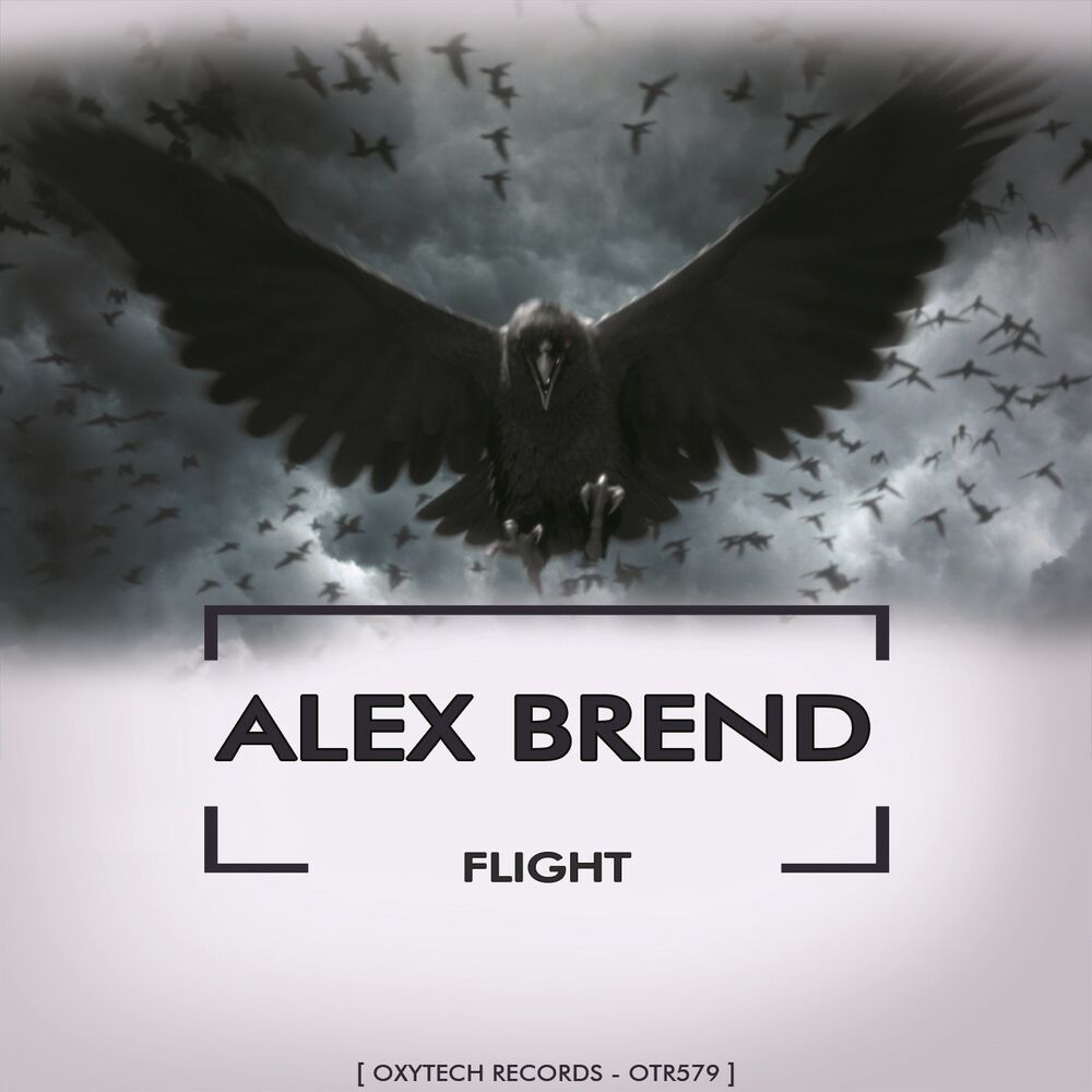 Picture of Flight