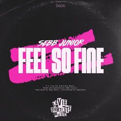 Cover of Feel So Fine EP