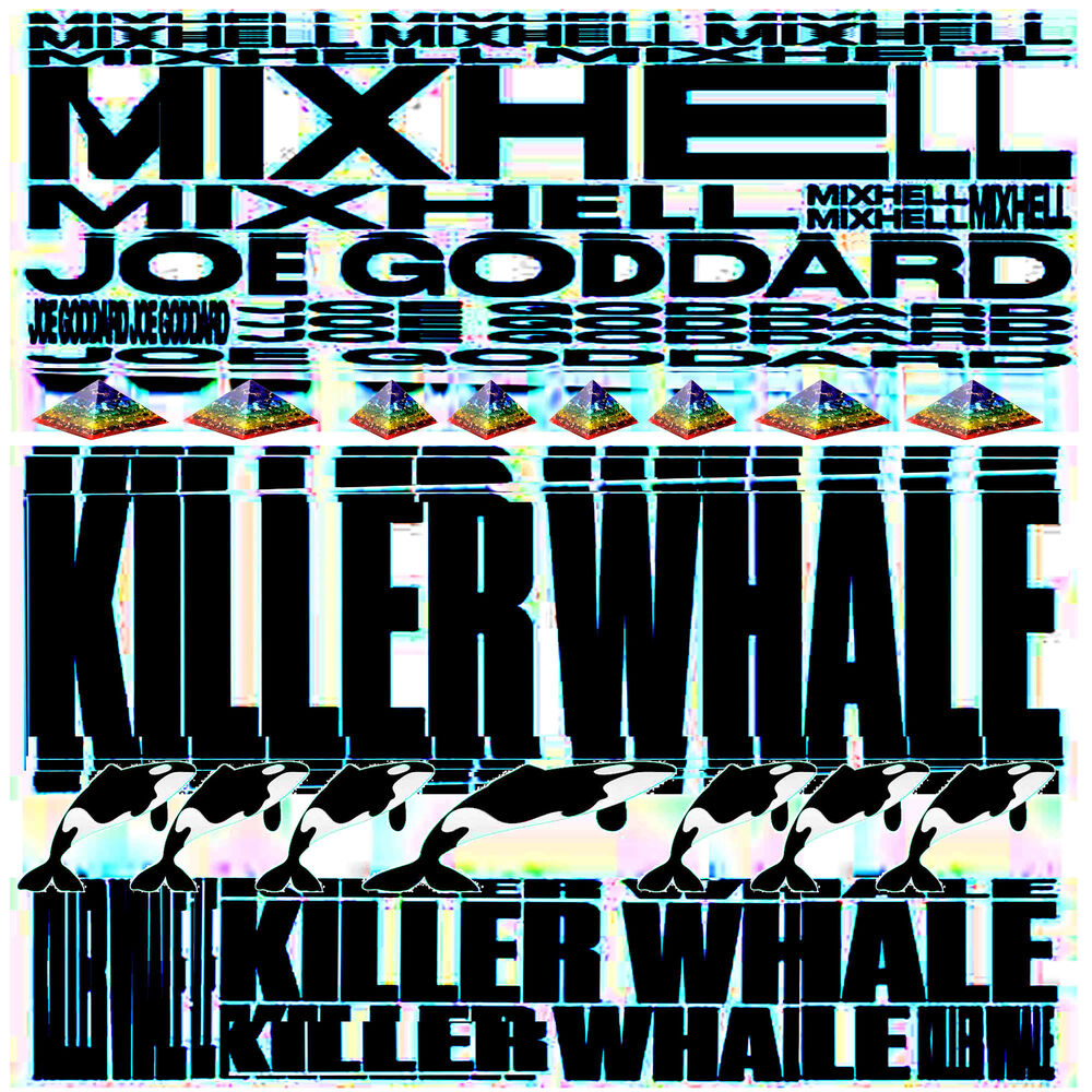 Picture of Killer Whale