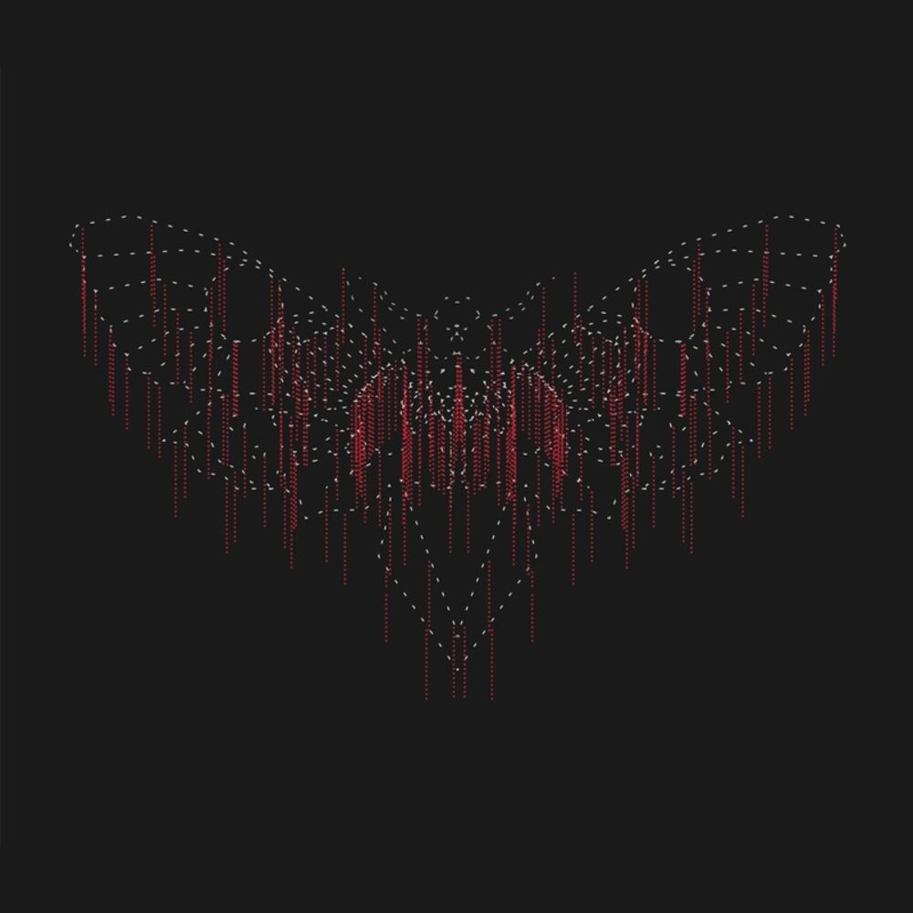 Picture of Moth