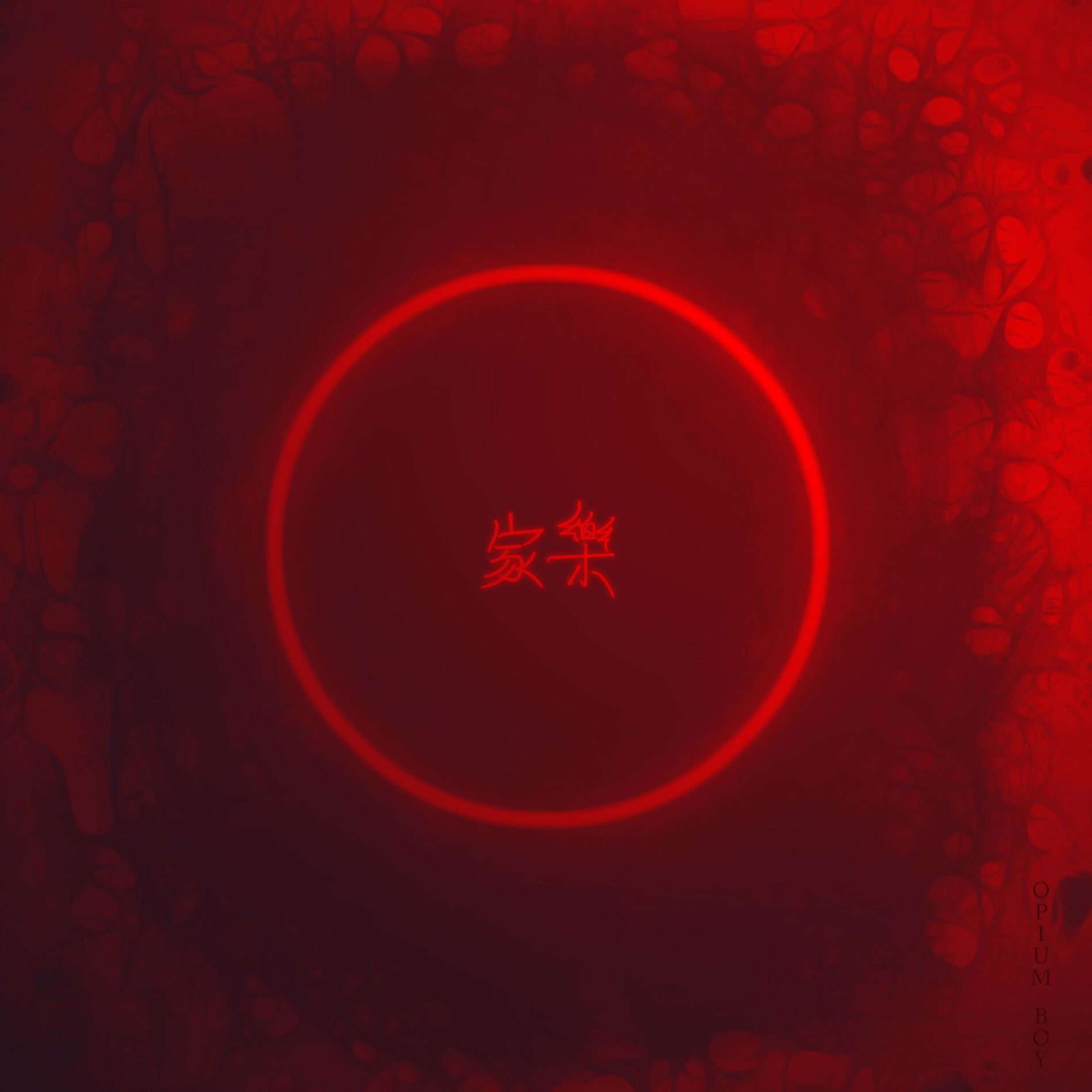 Album cover of Opium Boy