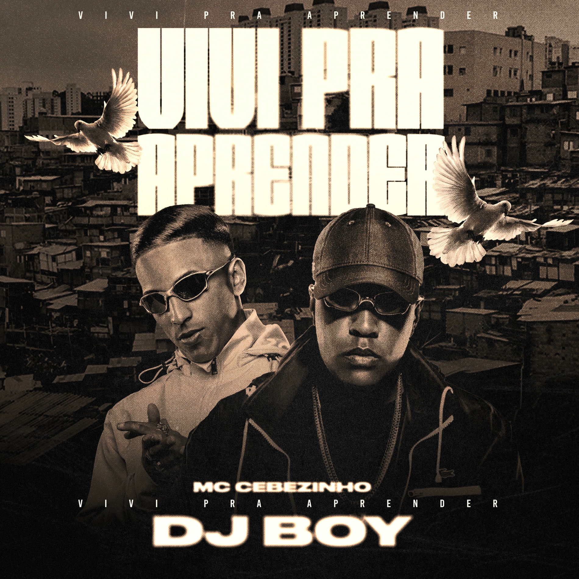 Album cover of Vivi Pra Aprender