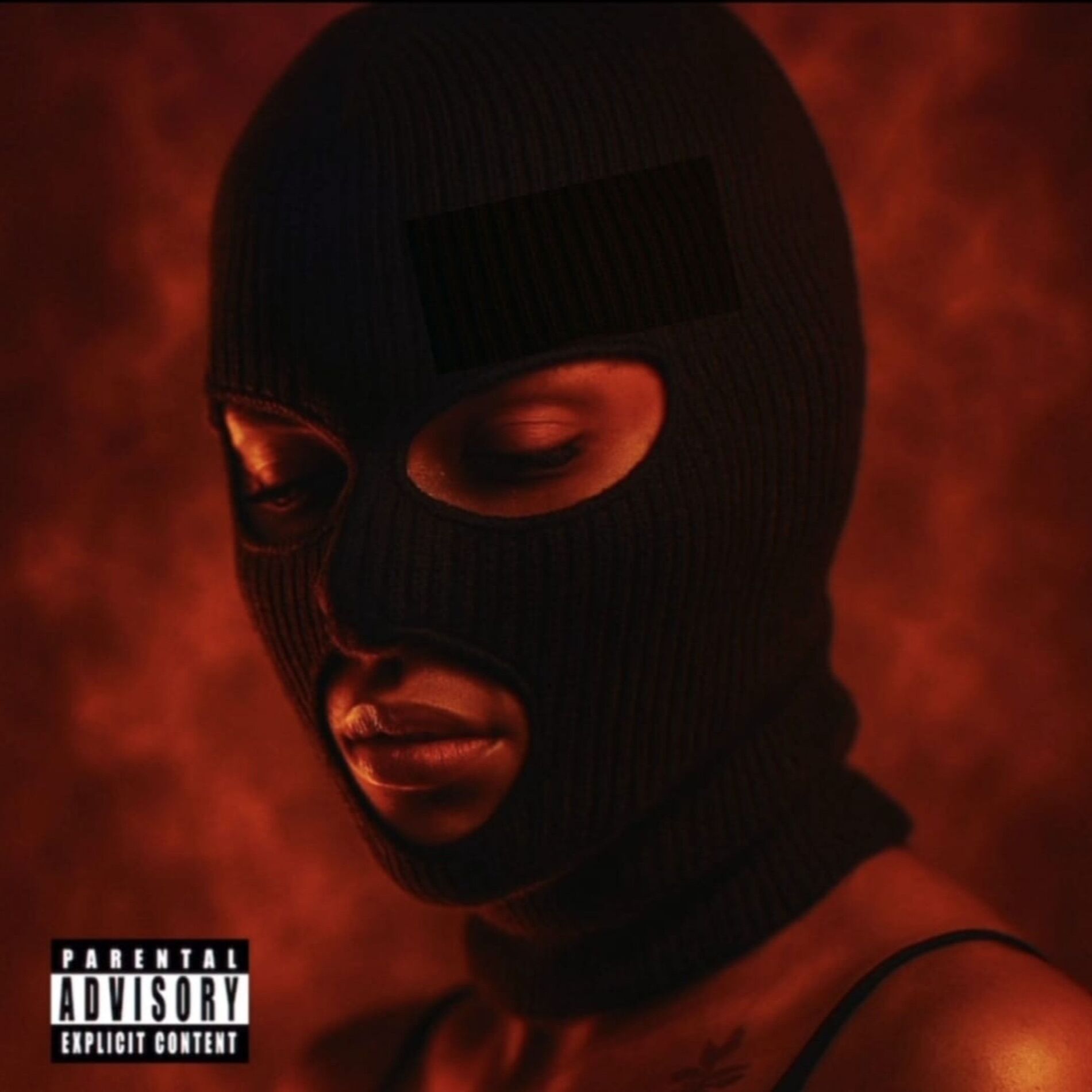 Album cover of novinha safada