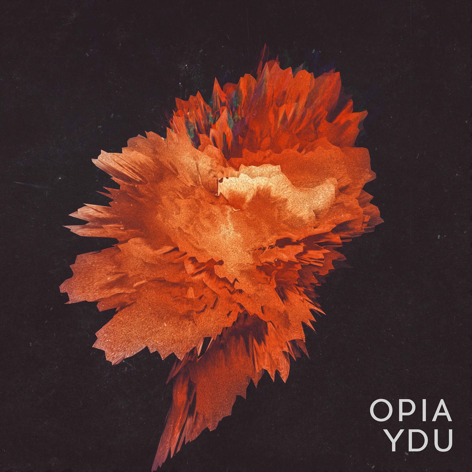 Album cover of YDU