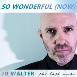 Cover of So Wonderful (Now)