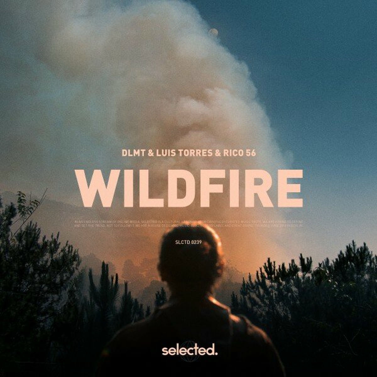 Album cover of Wildfire