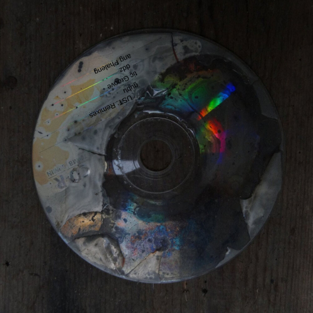 Picture of Trust (feat. Xigubu) Remixes