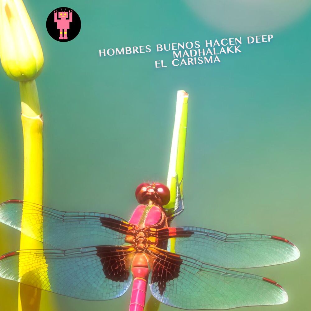 Picture of El Carisma