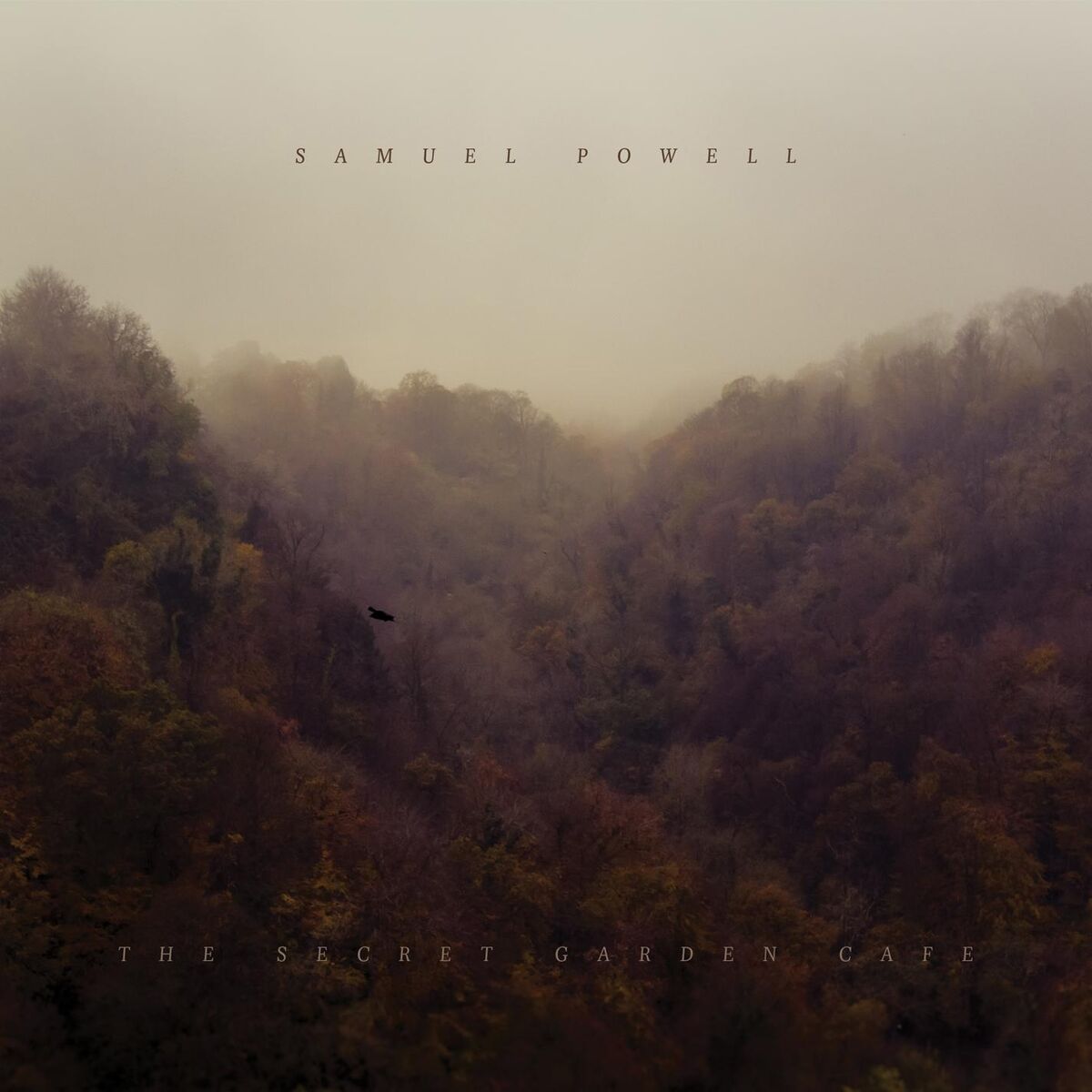Album cover of The Secret Garden Cafe
