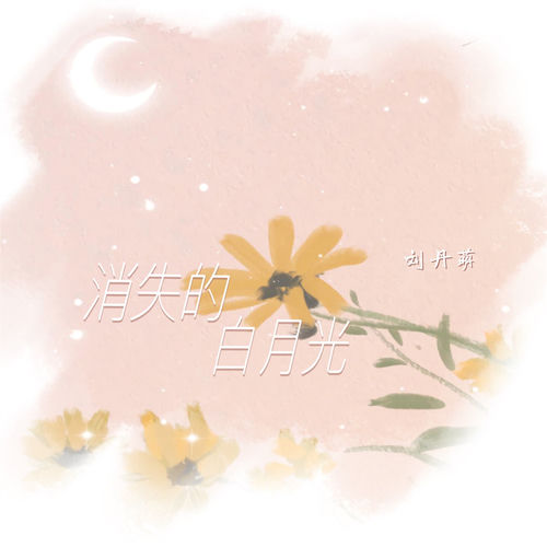 消失的白月光