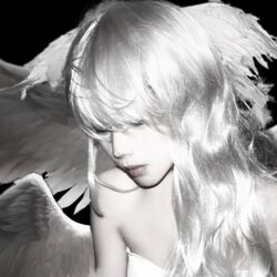 Cover of goat