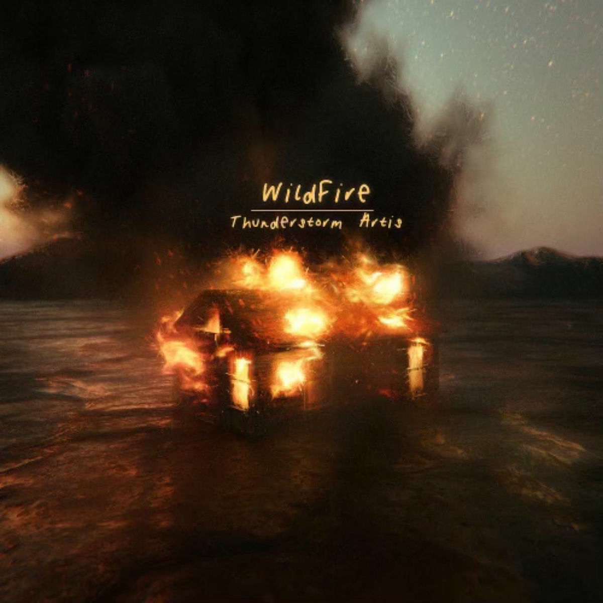 Album cover of Wild Fire