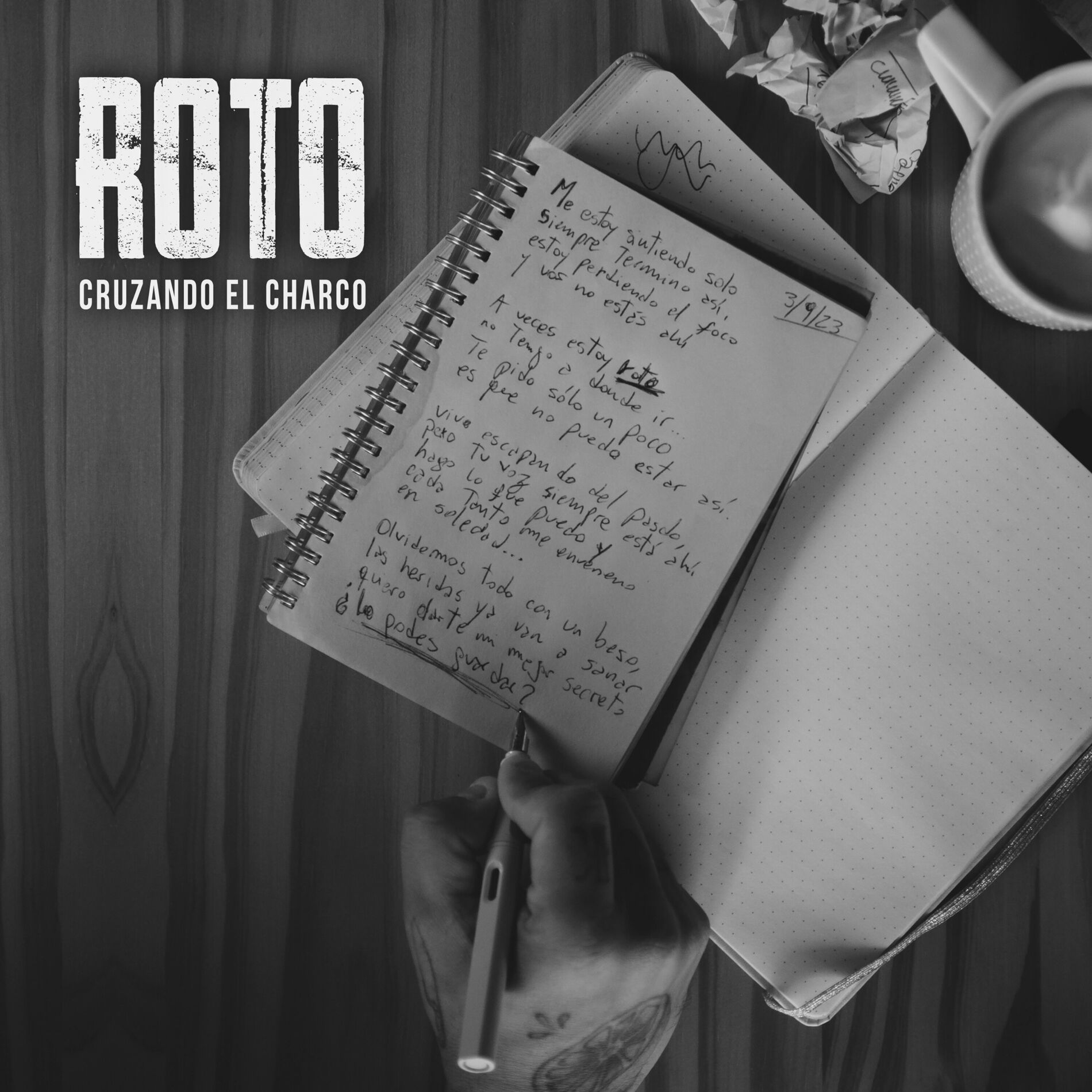 Album cover of Roto