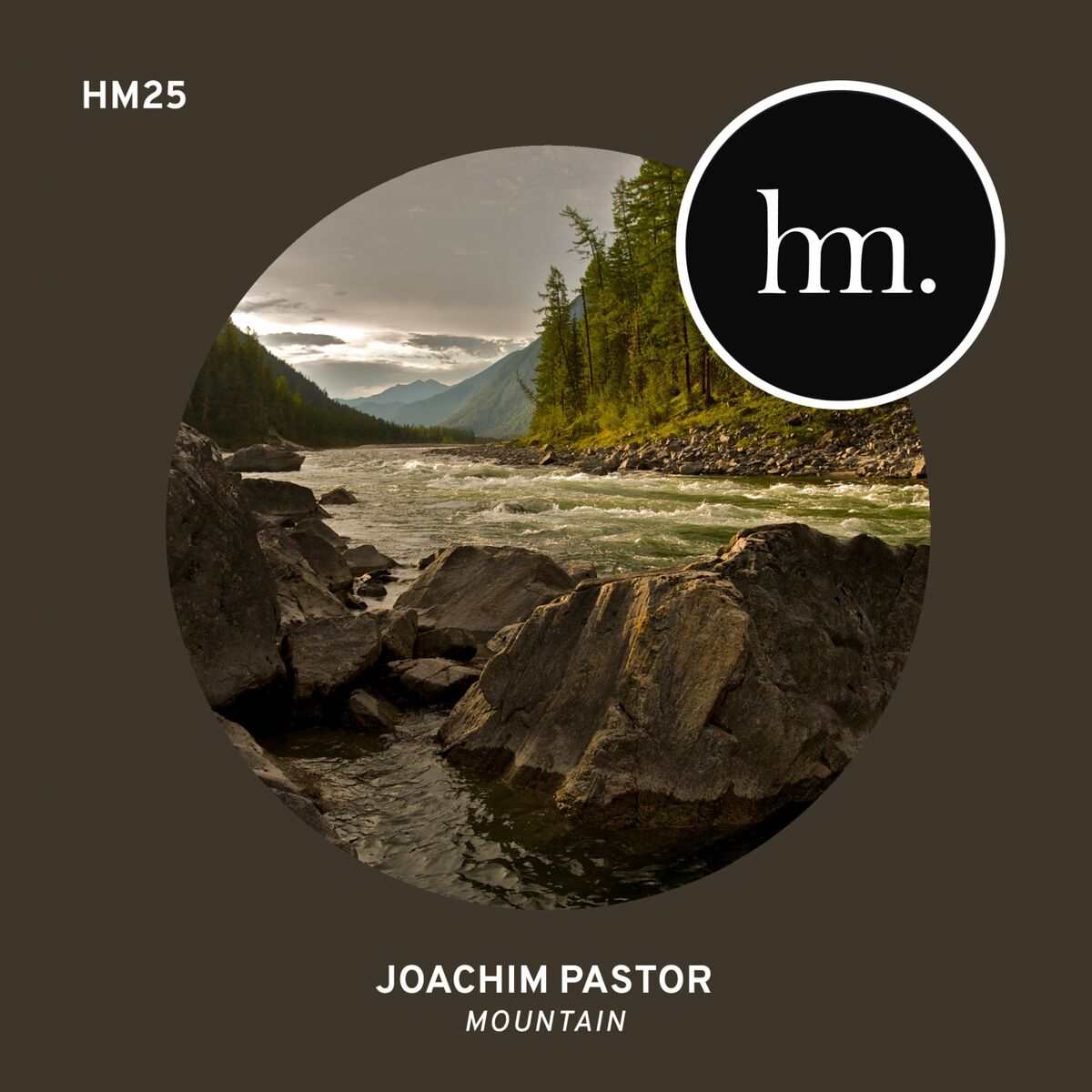 Album cover of Mountain