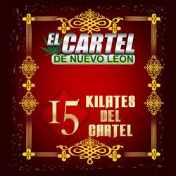 Cover of 15 Kilates Del Cartel