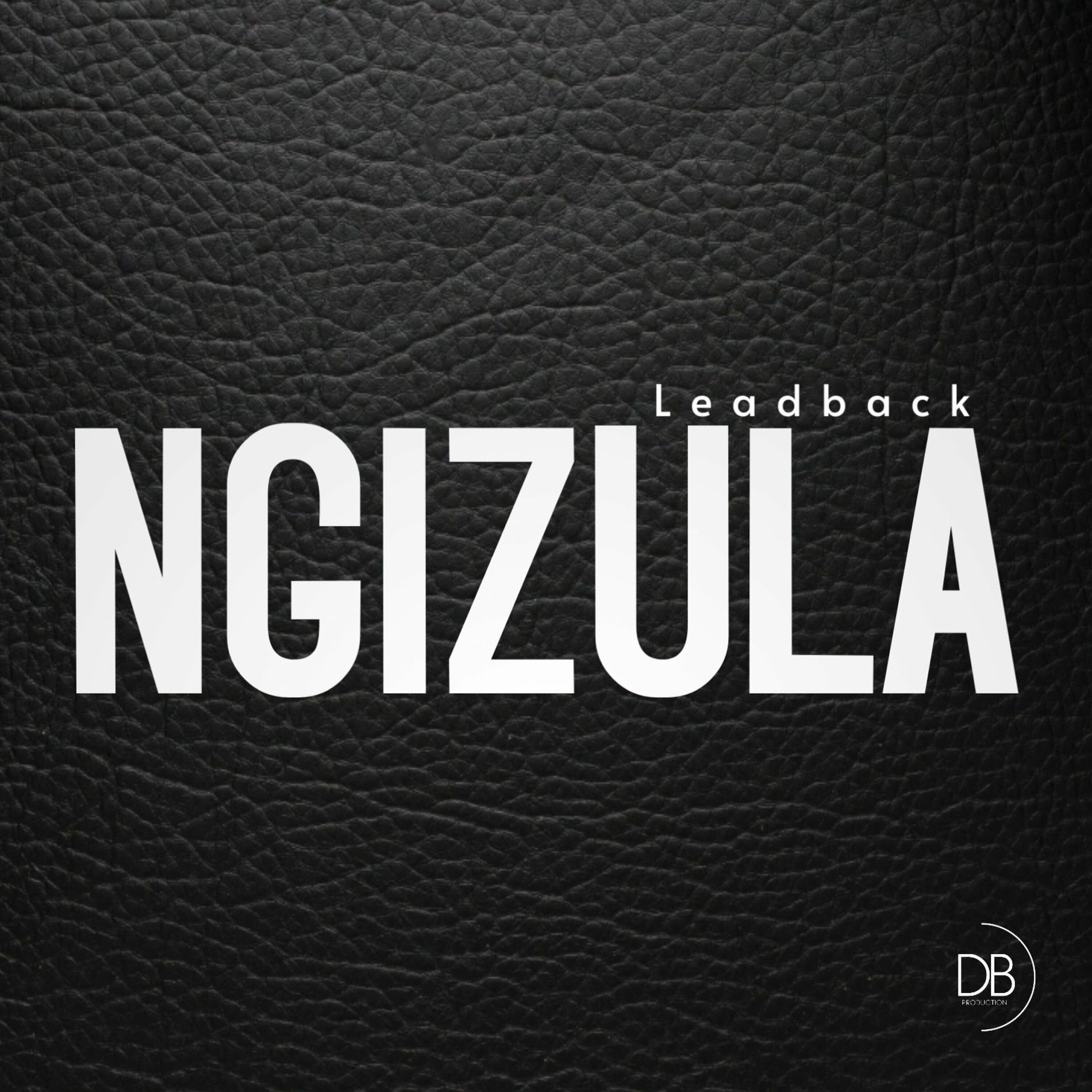 Album cover of Ngizula