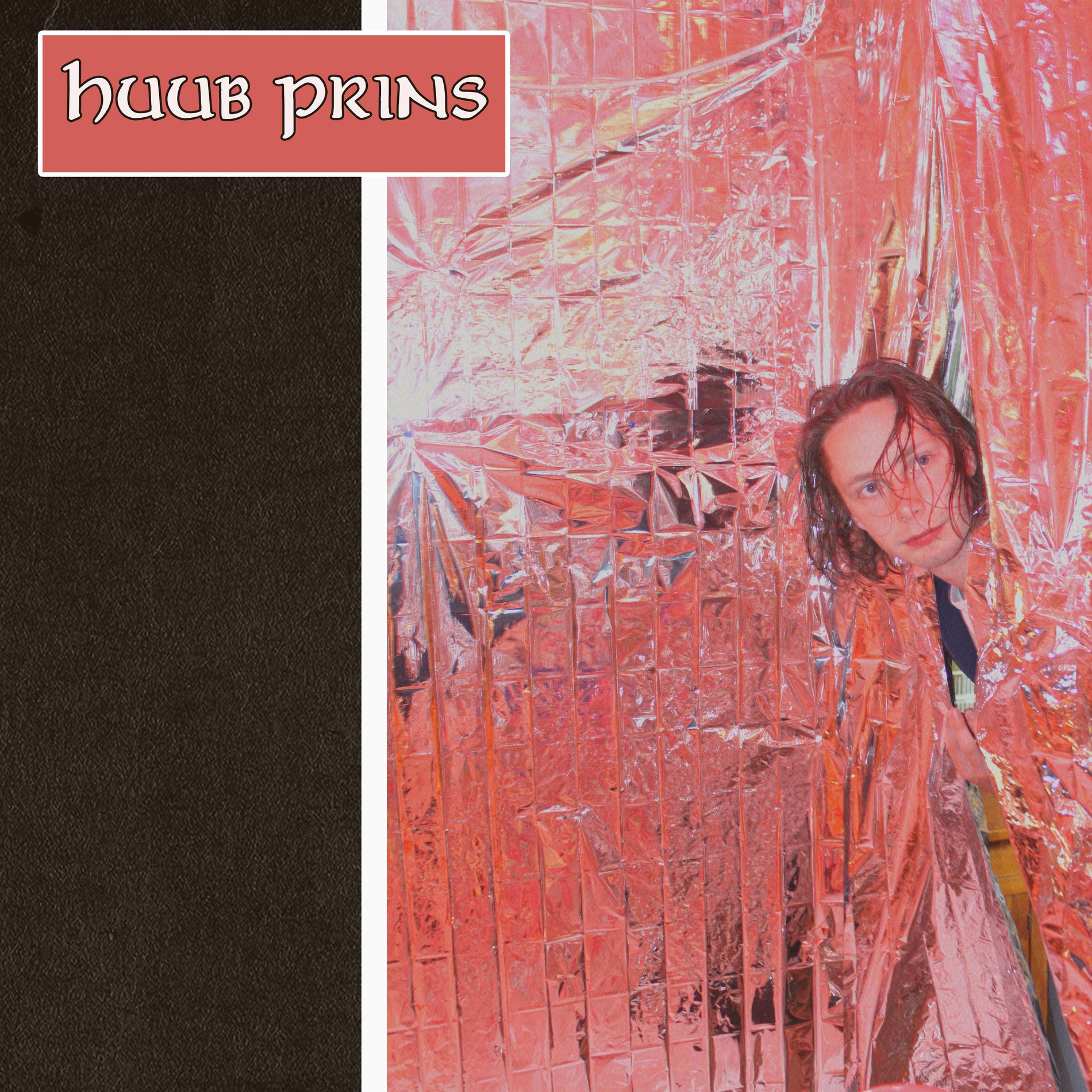 Album cover of Buitenspel